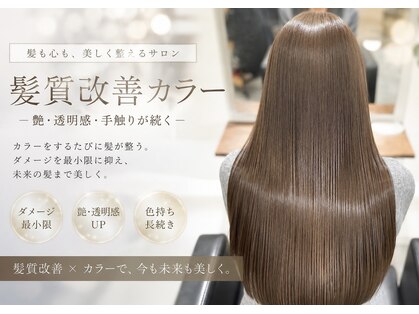 キニ(KINI)の写真
