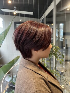 ドミ(DOMI) ボルドーワインレッド