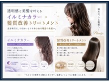 プラーチェ 古淵店(Plaatje)の雰囲気（イルミナカラーと髪質改善トリートメントで透明感と美髪を叶える）