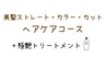 【ヘアケアコース】美髪ストレート+艶髪カラー+カット+ピュアtr+極艶tr