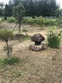 アグ ヘアー ルーナ 富山高岡店(Agu hair luna) mushroom石