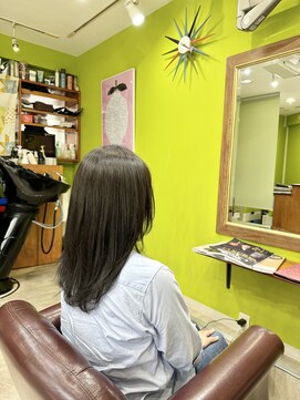 シースティア(siistia) 《グレー×ミディアム》