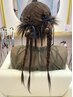 特殊アレンジorヘアセット♪