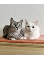 リパブリッシュ バイ ゴズウェルヘア(Republish by Goeswell Hair) 今年8歳になる保護猫姉妹猫を溺愛中です♪