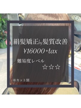 ヴィオラスバイポッシュ ギンザ(Violus by Posh GINZA) 絹髪矯正by髪質改善