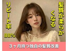 アヤメ(ayame)