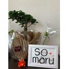 ソマル(so.maru)のお店ロゴ