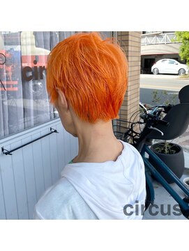 サーカス(circus) ビビットオレンジ