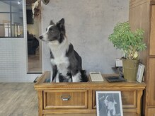 街の小さな美容室ビー(街の小さな美容室be.)