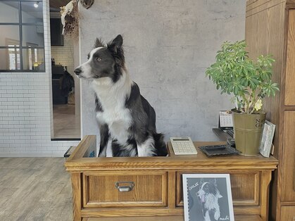街の小さな美容室ビー(街の小さな美容室be.)の写真