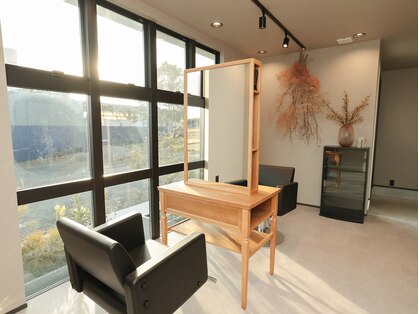 グム(GUM)の写真