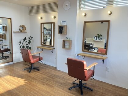 ココンフワット(coconfouato.)の写真