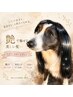 ◆艶◆ カラートリートメント 〔yakujo〕 ¥11330~