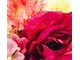 サロン ド ロココ(Salon de RoCoCo)の写真