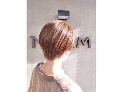 ニーム(NEEM)の写真