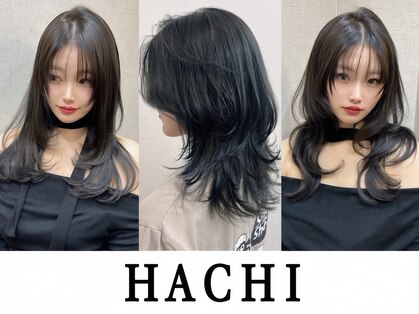 ハチ(HACHI)の写真