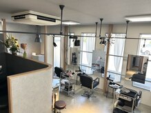 コンドウグラウンドオオイタヘアー(Kondo Ground Oita hair)