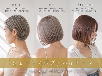 シーソー(SEE-SAW)の写真