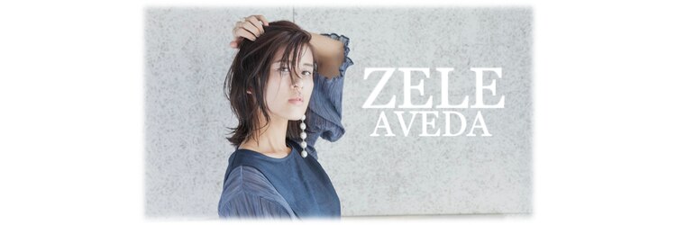 ゼル アヴェダ ららぽーと富士見(ZELE AVEDA)のサロンヘッダー