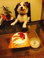 エマージュ 辻堂(Emerge)&nbsp;犬を飼っていますが、動物全般が大好きです！癒されています！
