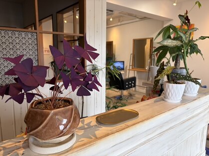 ヘア サロン レリュー(Hair salon LeRyu)の写真