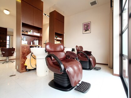 ループヘアー(Loop hair)の写真