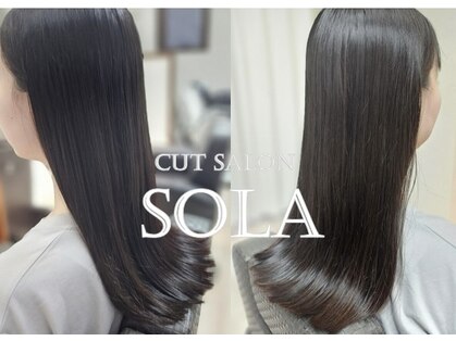 ソラ(SOLA)の写真