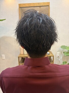 アンドシータ(and Sheta) ガイルヘア