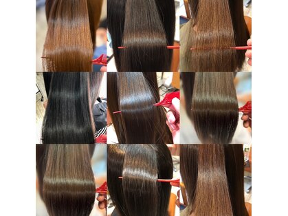 ソラ(ZoLA)の写真