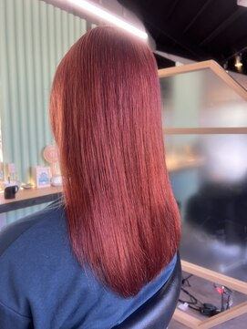 ロナ 岡崎竜美丘店(RONA) チェリーオレンジ