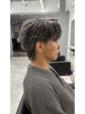 【シルバーハイライト】