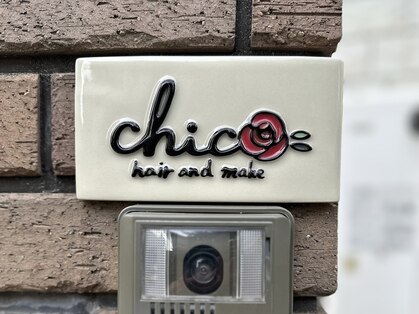 チコ(chico)の写真