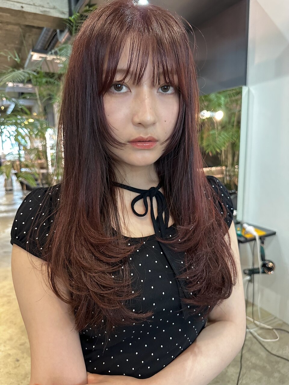 カット5500