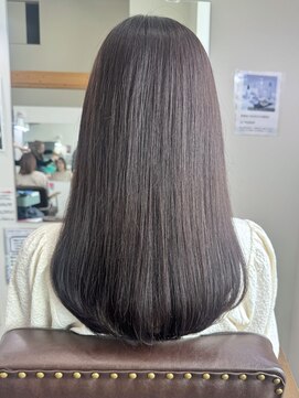 エルパライソ リフォ(Elparaiso Reff) ダークパープル