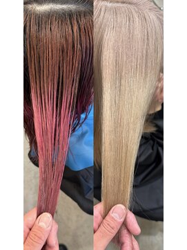 ドッグスター(dog star) ホワイトベージュ[登戸/向ヶ丘遊園]