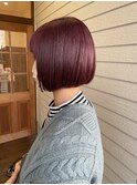 ピンクラベンダー
