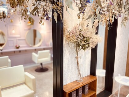 フィールド(field)の写真