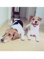 リノ(Lino) 犬が好きです^^
