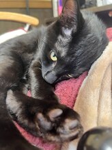 ガラ(GALA) 高橋 ボミ江