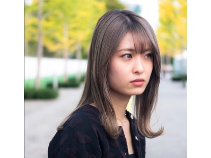 ノア(noa)の写真