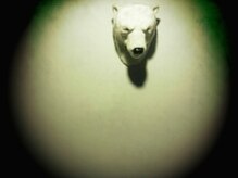 白壁にヒッソリと、熊男くん