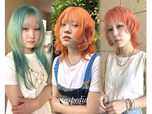 グラスペディア(graspedia)