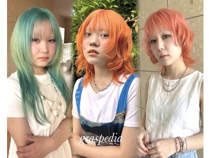 グラスペディア(graspedia)の写真