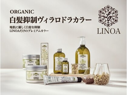 リノア(LINOA)の写真