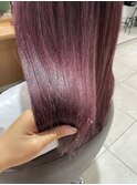 ダブルカラー　紫