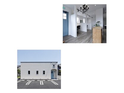 エードット(a.)の写真