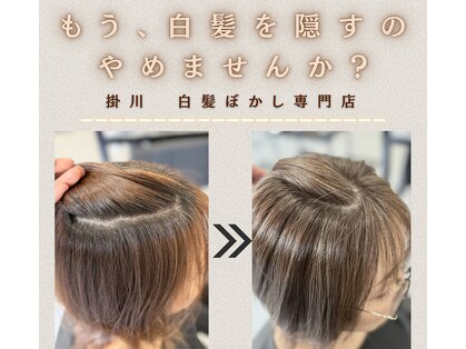 スガミ(SUGAMI)の写真