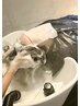 【極上の癒し♪】《頭皮ケア+疲労改善》極上ヘッドスパ+トリートメント