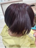 髪質改善カラーパープルヘアカラー