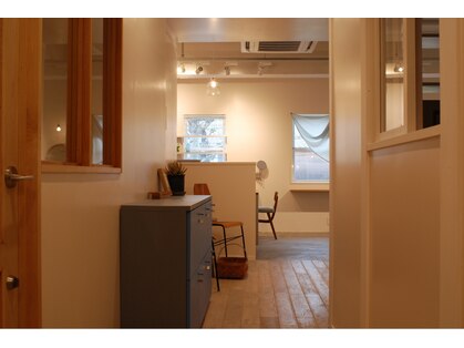 ティコ(tico)の写真